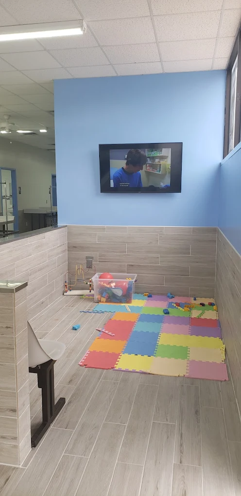 WaveMAX sanitization Grand Prairie, TX