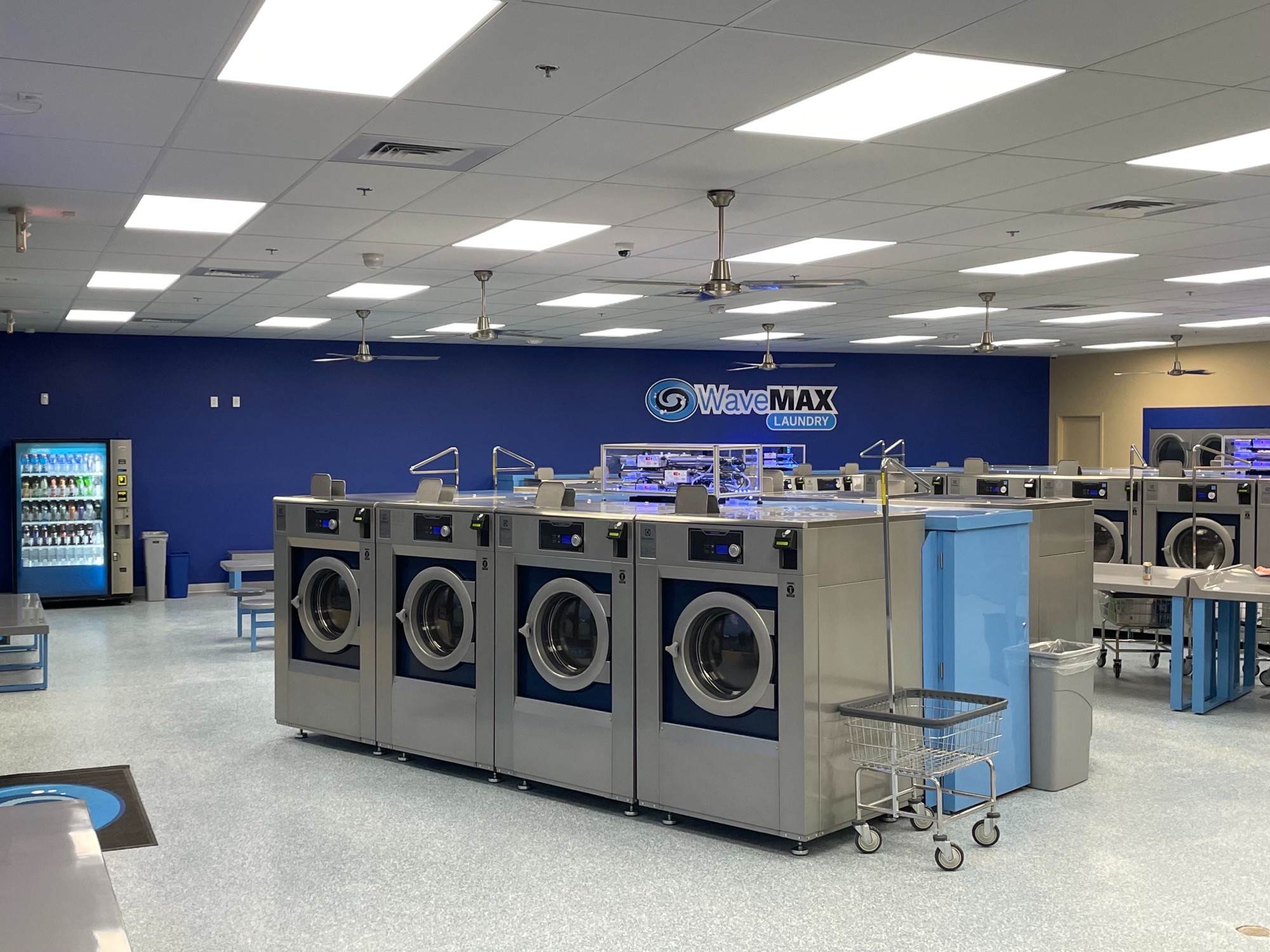 WaveMAX wash dry fold service area